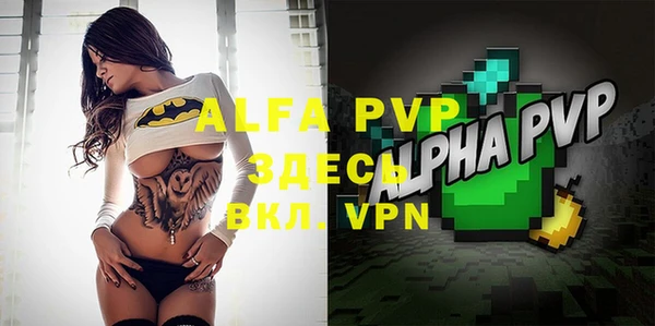 индика Арсеньев