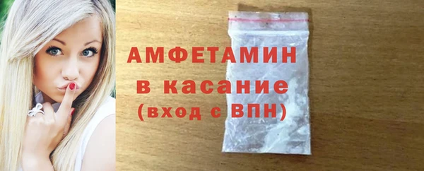 индика Арсеньев