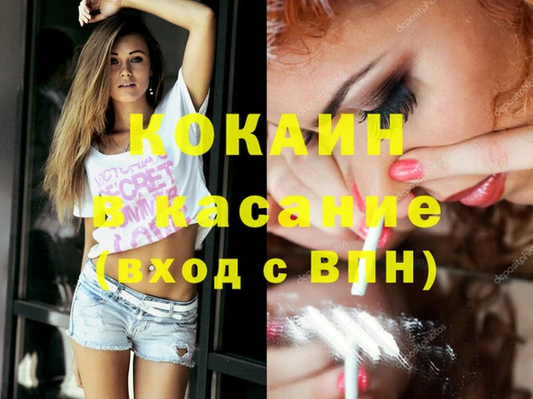 крисы Армянск
