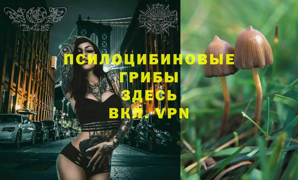 крисы Армянск
