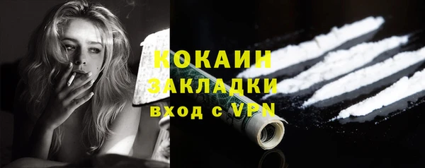 индика Арсеньев