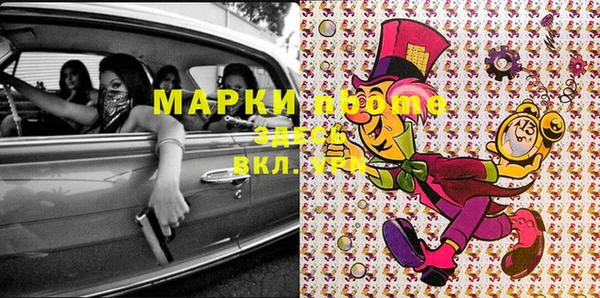 индика Арсеньев