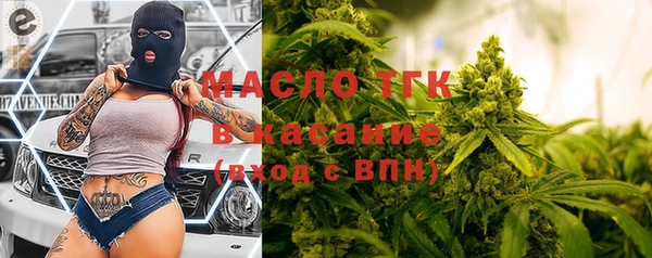 индика Арсеньев