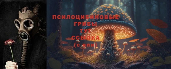 крисы Армянск